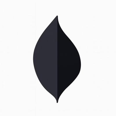 Leaf Muurlamp Zwart Leaf Muurlamp Zwart