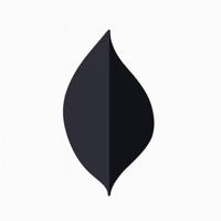 Leaf Muurlamp Zwart - thumbnail