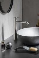 Wastafelmengkraan Sapho Minimal 1-hendel Gebogen Hoog 33.8 cm RVS Sapho - thumbnail