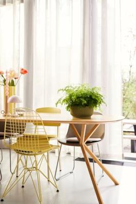 Vibes fold bowl 25 cm varengroen bloempot elho - Elho Vibes fold bowl 25 cm varengroen bloempot elho - Elho