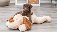 Trixie pluchen knuffelhond Benny 75 cm - thumbnail