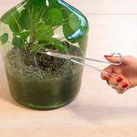 Terrarium schaar l2b6h25cm Esschert Design - Esschert design - thumbnail