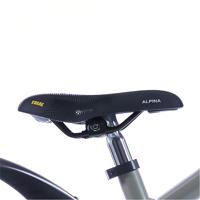 Alpina zadel 20-22 trial - thumbnail