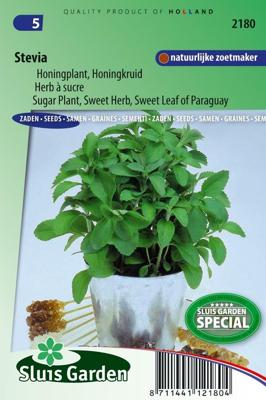 Stevia zaden Honingplant