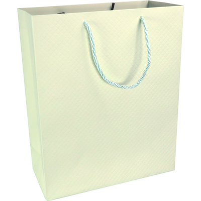 Tas | Papier | embossed | 26x 12x32cm | draagtas | pastelgroen | 40 stuks