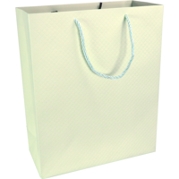 Tas | Papier | embossed | 26x 12x32cm | draagtas | pastelgroen | 40 stuks - thumbnail