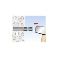 Fischer 542108 RODFORCE FGD 10 M6 TR 60 Plug 25 stuk(s) - thumbnail