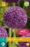 Allium ambassador 1 bol - thumbnail