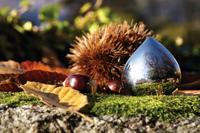 Alessi Chestnut Pillendoosje - thumbnail