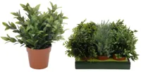 Kunstplant in Potje 20cm Assorti 1st - thumbnail