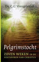 Pelgrimstocht - Cees Vreugdenhil - ebook - thumbnail