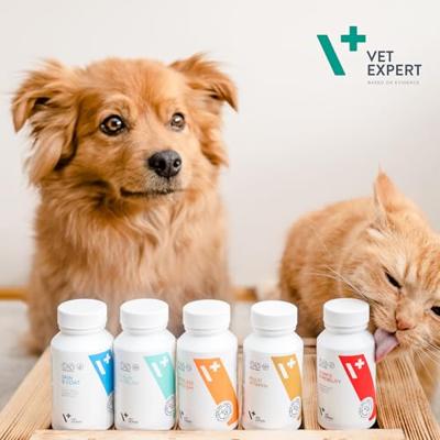 VET EXPERT Multivitamine - vitamine- en mineralenpreparaat voor honden en katten - 30 capsules. VET EXPERT Multivitamine - vitamine- en mineralenpreparaat voor honden en katten - 30 capsules.