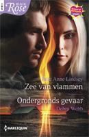 Zee van vlammen / Ondergronds gevaar - Julie Anne Lindsey, Debra Webb - ebook - thumbnail