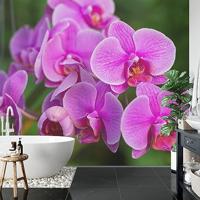 Fotobehang - Roze Orchidee Bloesems, in 11 maten te koop, premium print, incl behanglijm - thumbnail