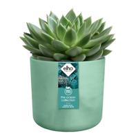 The ocean collection round 16cm pacifisch groen elho - Elho - thumbnail