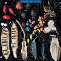 We Fall - LP (0810017640102) - thumbnail