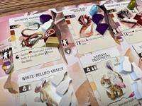 Wyrmspan Upgrade Pack - thumbnail