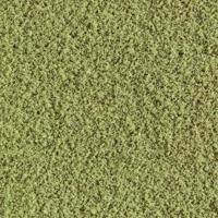 Woodland Scenics WT44 Vlokken Zon gebrand gras Verbrand gras - thumbnail