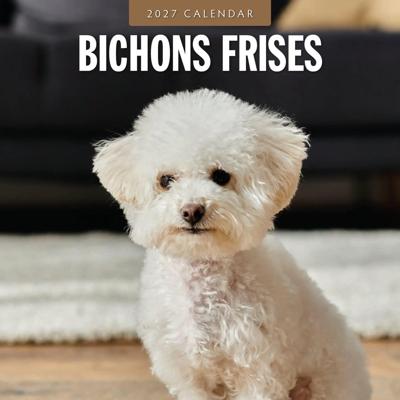 Bichon Frise Kalender 2027