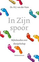 In zijn spoor - H.J. van der Veen - ebook - thumbnail