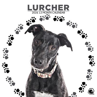 Lurcher Kalender 2026 Lurcher Kalender 2026