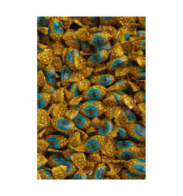 Van Vliet Honingbonbons honing speciaal (5 Kilogr)