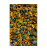 Van Vliet Honingbonbons honing speciaal (5 Kilogr) - thumbnail