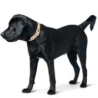 Hondenhalsband Hunter MALIA Groen M/L 45-54 cm - thumbnail