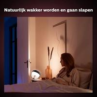 Philips UplightHue Iris zwart - 26448900 - thumbnail