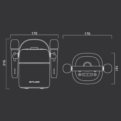 Muse 530Ka Draagbaar Karaoke Systeem Met Batterijen En Micro 30W