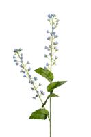 Bellflower l107cm blauw kunstbloem Louis Maes - Louis maes - thumbnail