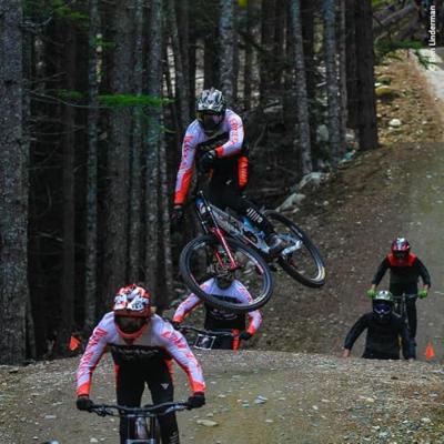 Maxxis buitenband Dissector EXO TR 29 x 2.40 zw vouw