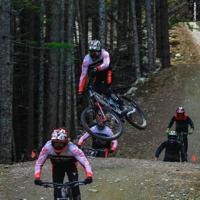 Maxxis buitenband Dissector EXO TR 29 x 2.40 zw vouw - thumbnail