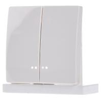 Siemens 5TG7158 2-voudig Wit Schakelmateriaal 1 stuk(s)