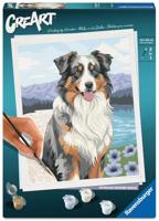 Ravensburger CreArt 12023114 - Australian Shepherd Merlin - Malen nach Zahlen ab 12 Jahren - thumbnail