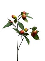 Roberts Collection Kunsttak pruim 75cm groen/rood - thumbnail