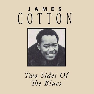 Two Sides Of The Blues - CD (0760137098522) Two Sides Of The Blues - CD (0760137098522)