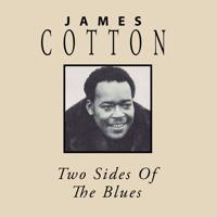 Two Sides Of The Blues - CD (0760137098522) - thumbnail