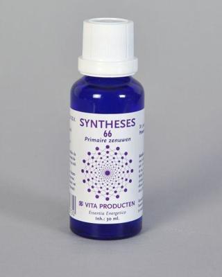 Vita Syntheses 66 primaire zenuwen 30 Milliliter