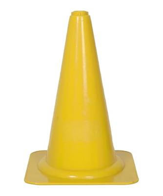 Cawila Pionnen Groot