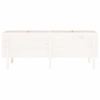 Plantenbak verhoogd 160x50x57 cm massief grenenhout wit - thumbnail