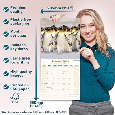 Pinguin Kalender 2026
