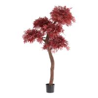 Acer Bonsai Kunstboom Deluxe 220cm Burgundy - thumbnail