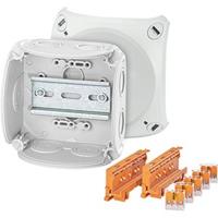 Hensel DK 0404 W Aftakkast (l x b x h) 104 x 104 x 70 mm Grijs IP66 5 stuk(s) - thumbnail