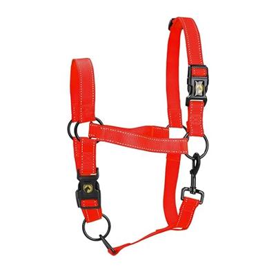 Excellent Horse Premium Halster M Pony Rood
