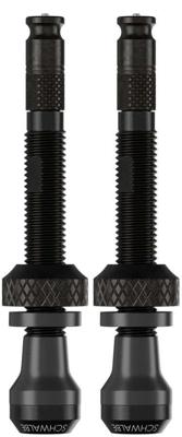 Schwalbe Ventiel scv