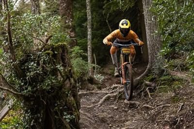 Continental argotal 27.5 x 2.40 folding