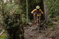 Continental argotal trail endurance 27.5 x 2.40 (60-584) folding - thumbnail