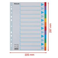 Esselte tabbladen 12 tabs - thumbnail