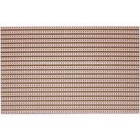 Rademacher WR-Typ 711 Printplaat Hardpapier (l x b) 160 mm x 100 mm 35 µm Rastermaat 5.08 mm Inhoud 1 stuk(s) - thumbnail